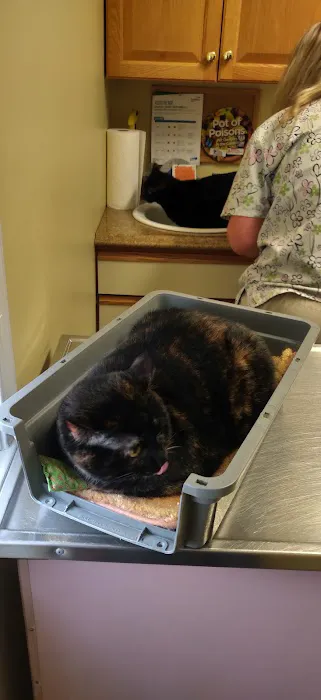 Collegeville Cat Clinic Picture 4