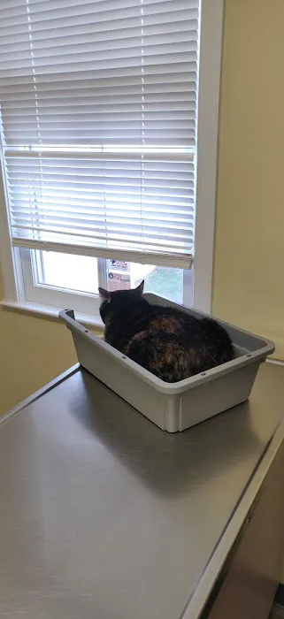 Collegeville Cat Clinic Picture 9