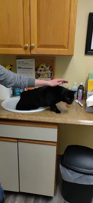 Collegeville Cat Clinic Picture 10