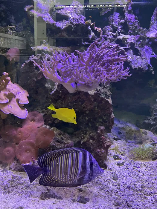 Complete Aquarium Picture 2