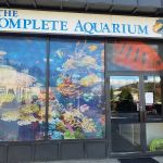 Complete Aquarium