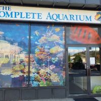 Complete Aquarium ico