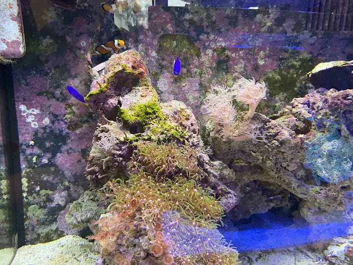 Complete Aquarium Picture 4