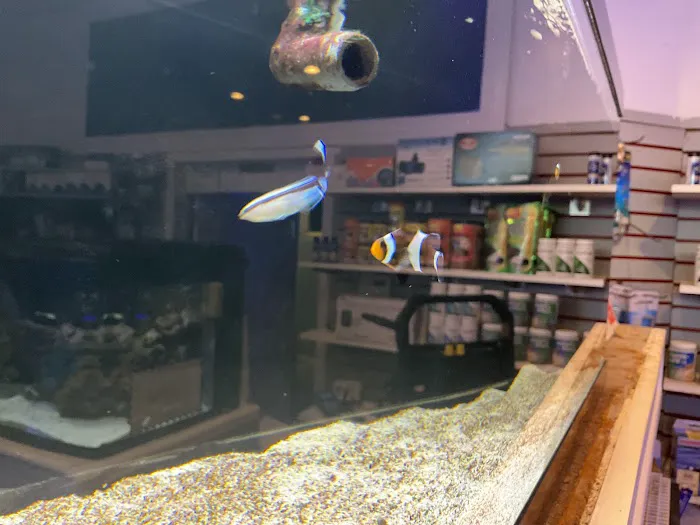 Complete Aquarium Picture 5