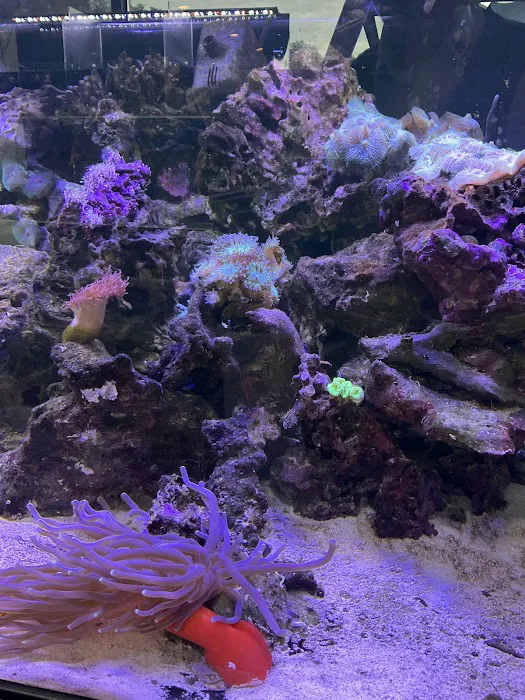 Complete Aquarium Picture 8