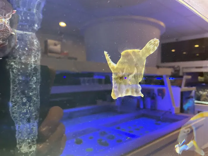 Complete Aquarium Picture 9