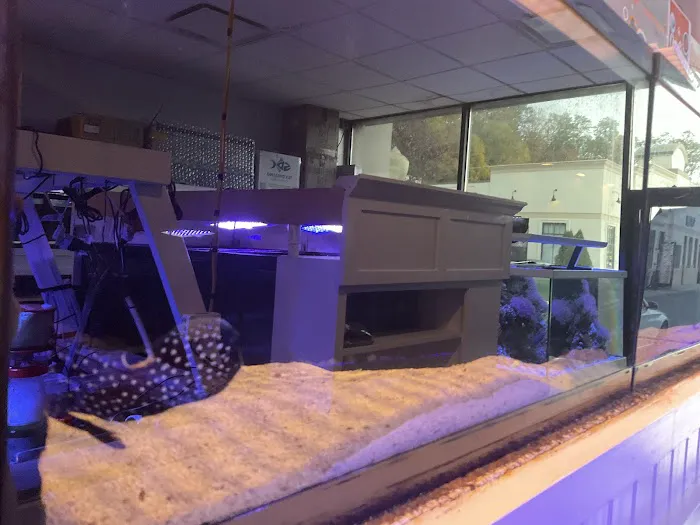Complete Aquarium Picture 10