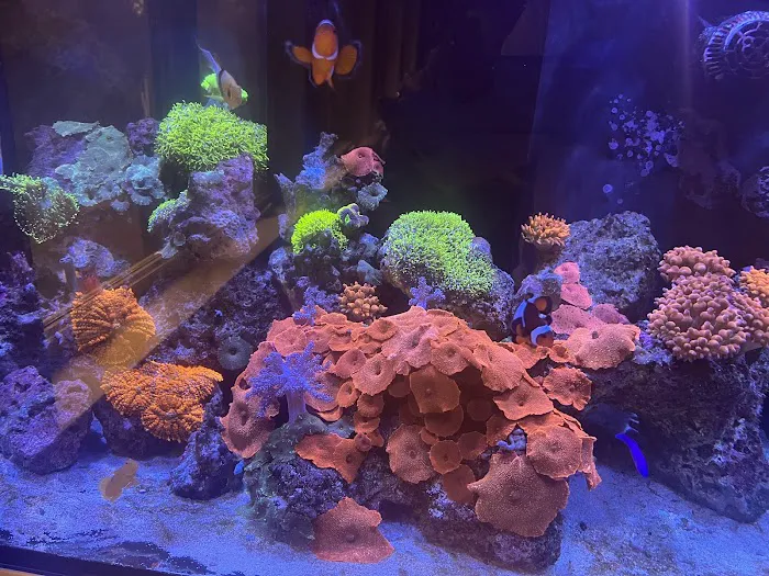 Complete Aquarium Picture 7