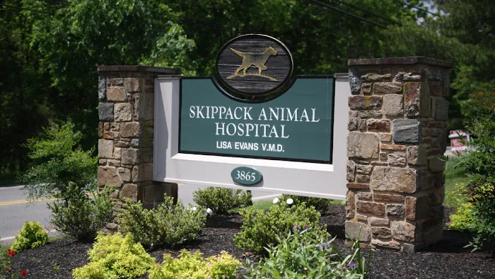Skippack Animal Hospital Picture 3