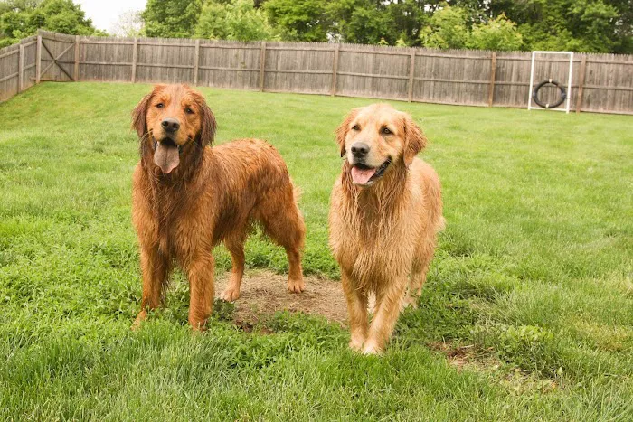 Skippack Animal Hospital Picture 6