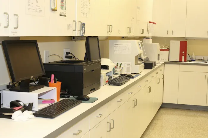 Skippack Animal Hospital Picture 10