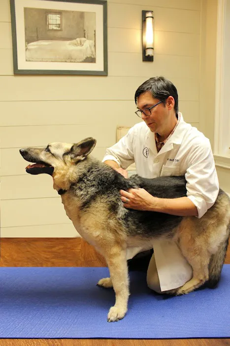 Doylestown Veterinary Hospital & Holistic Pet Care Picture 7
