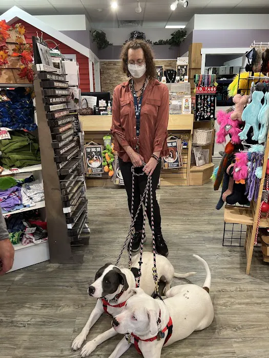 USA Dog Shop Picture 10
