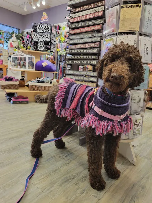 USA Dog Shop Picture 8