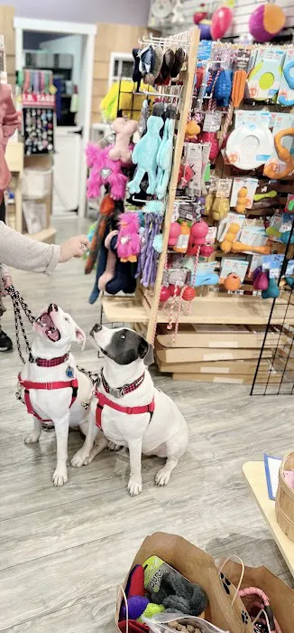 USA Dog Shop Picture 7