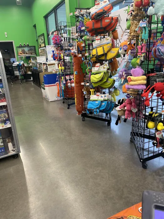 Pet Supplies Plus New Windsor (Vails Gate) Picture 6