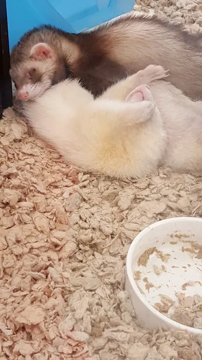 Petco Picture 1