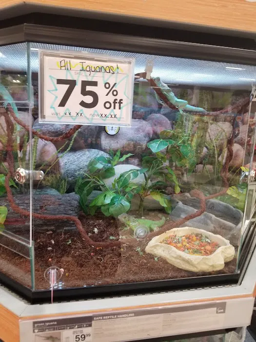 Petco Picture 3