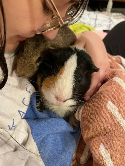 Petco Picture 4