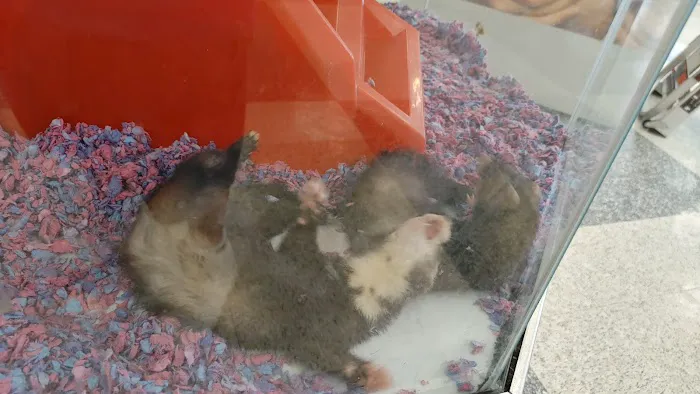 Petco Picture 6