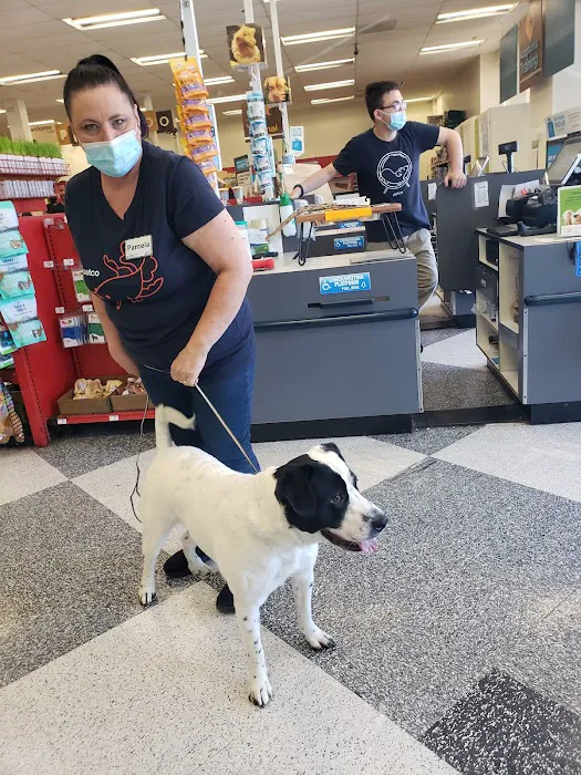 Petco Picture 9