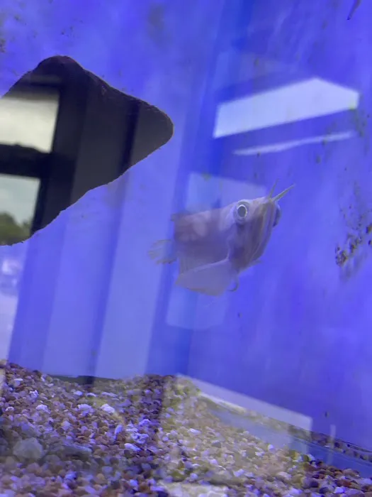 Underground Aquaticz Picture 4