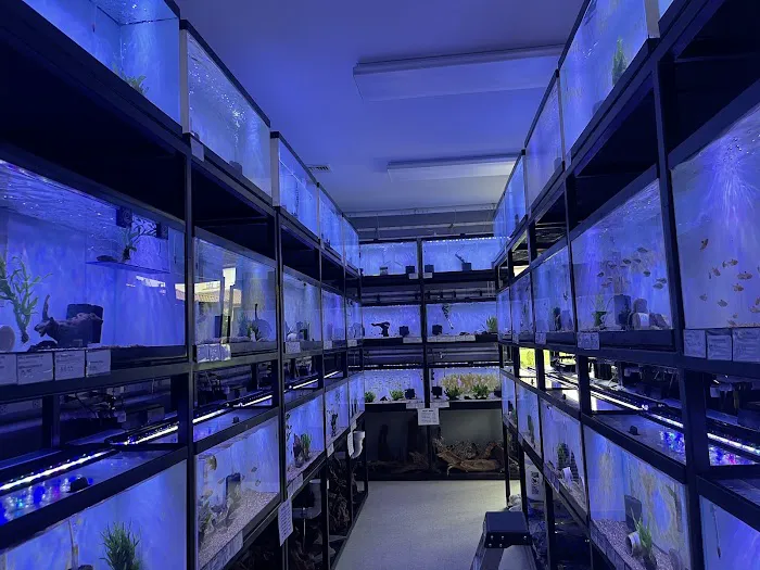 Underground Aquaticz Picture 10