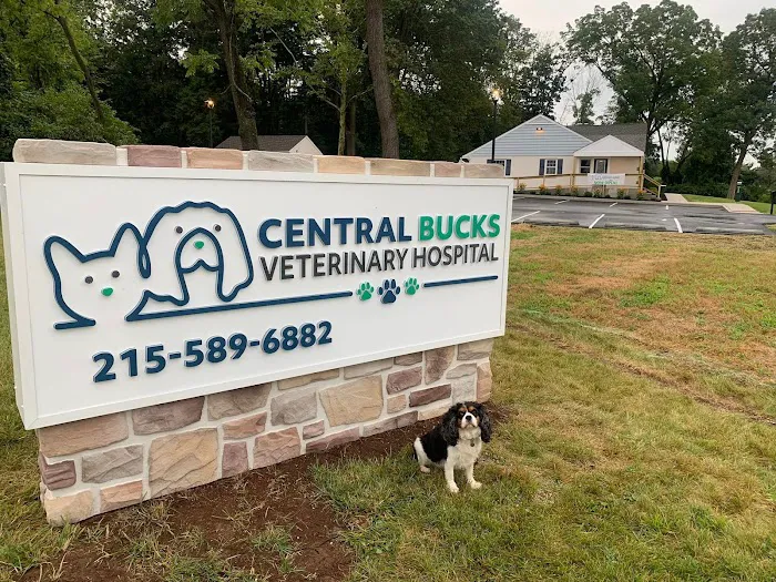 Central Bucks Veterinary Hospital Picture 4