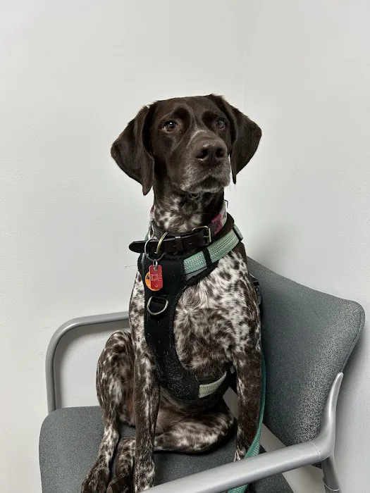 Central Bucks Veterinary Hospital Picture 10
