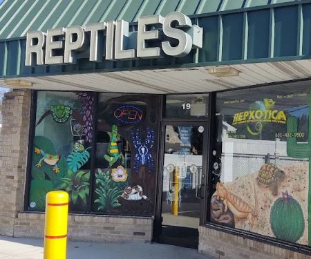 Repxotica, Inc