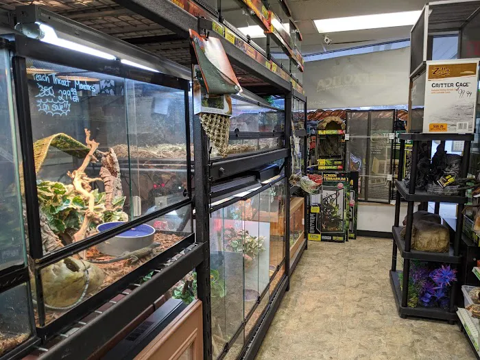 Repxotica, Inc Picture 3
