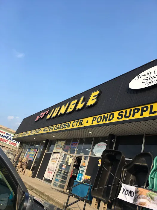 B.T.J.'s Jungle Picture 2