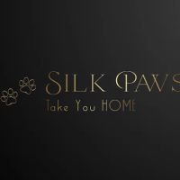 Silk Paws ico