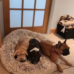 Danboro Veterinary Clinic