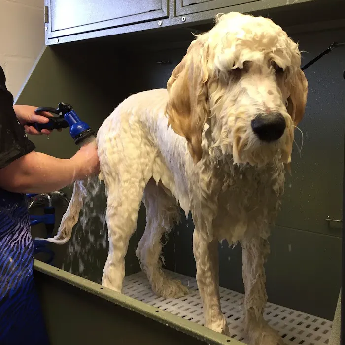Valley Veterinary Center of Buckingham Picture 1
