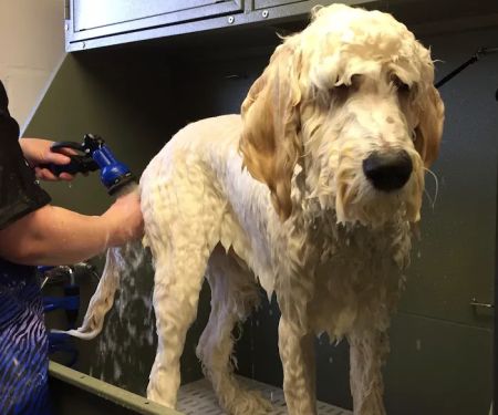 Valley Veterinary Center of Buckingham