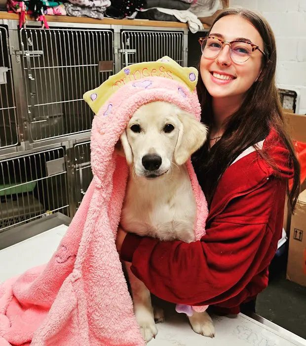 Valley Veterinary Center of Buckingham Picture 2