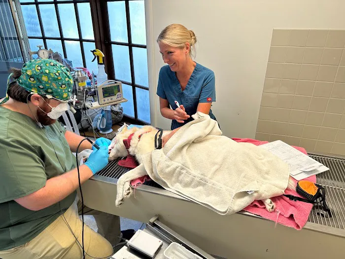 Valley Veterinary Center of Buckingham Picture 5