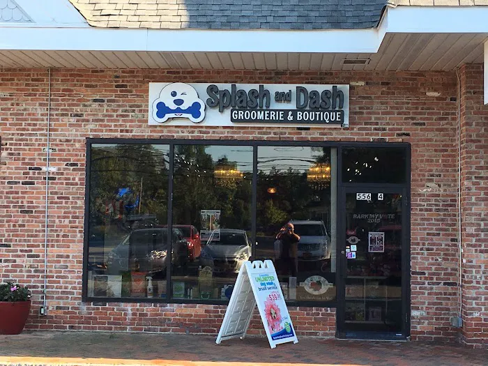 Splash and Dash Groomerie & Boutique Picture 2