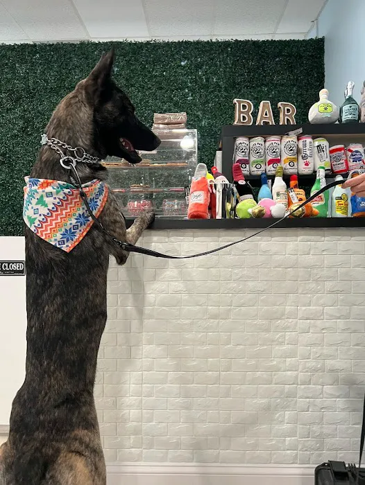 Spoiled Bitch Dog Boutique Picture 3