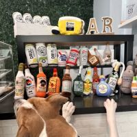 Spoiled Bitch Dog Boutique ico