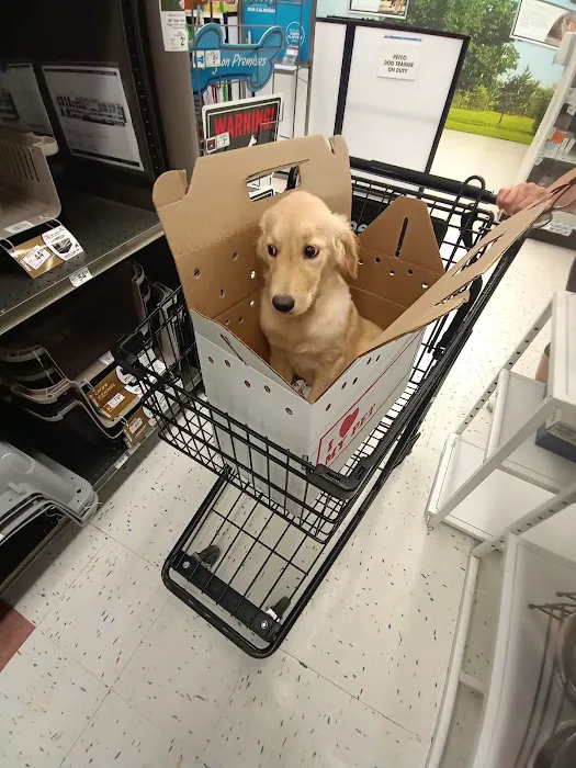 Petco Picture 1
