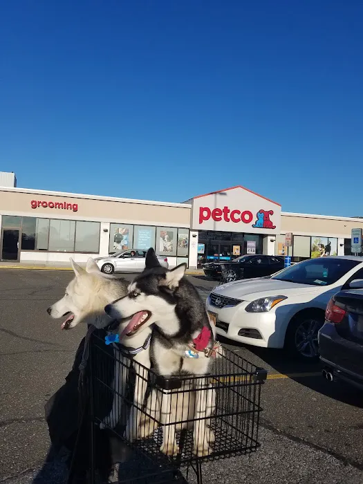 Petco Picture 2