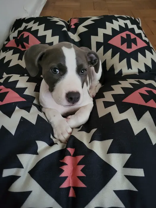 Petco Picture 4