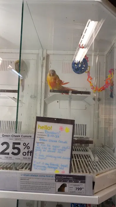 Petco Picture 7