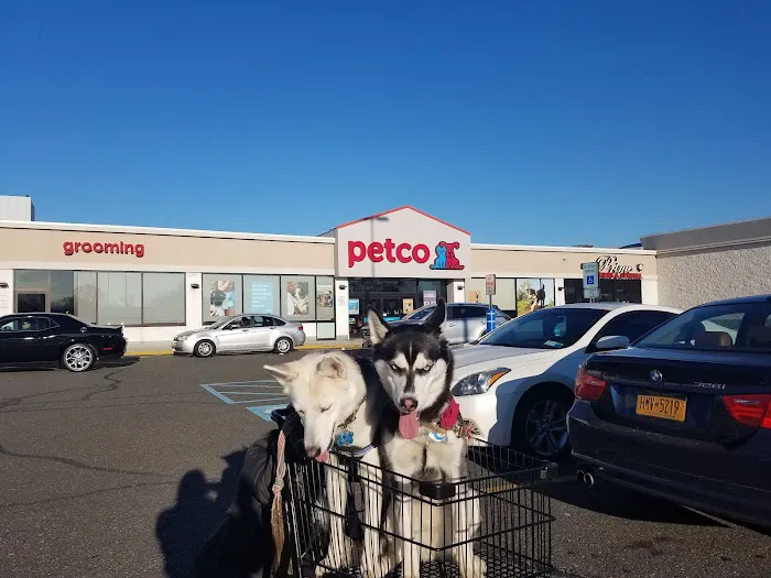 Petco Picture 9