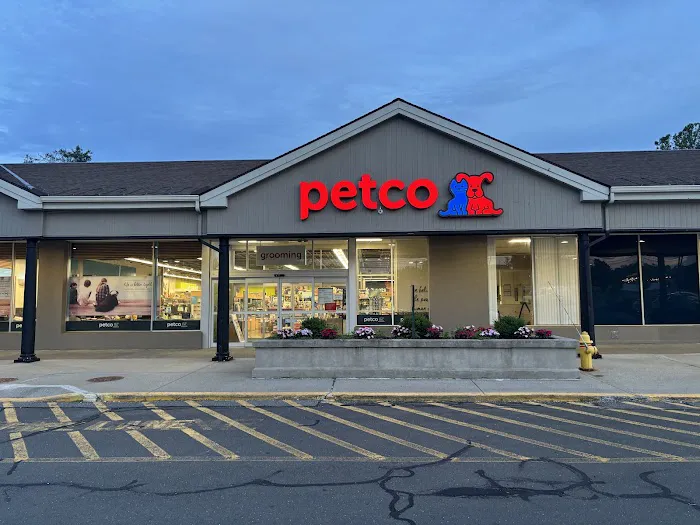 Petco Picture 4
