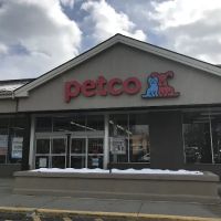 Petco ico