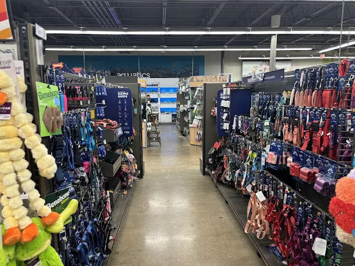 Petco Picture 3