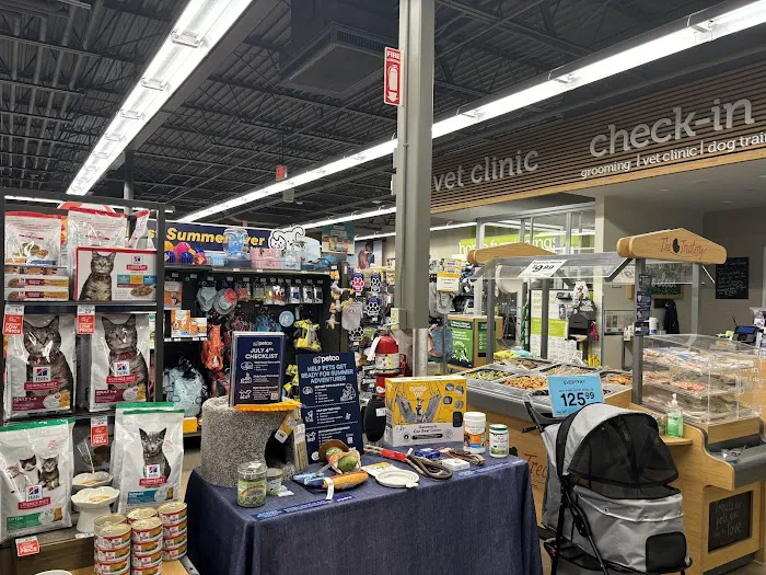 Petco Picture 7